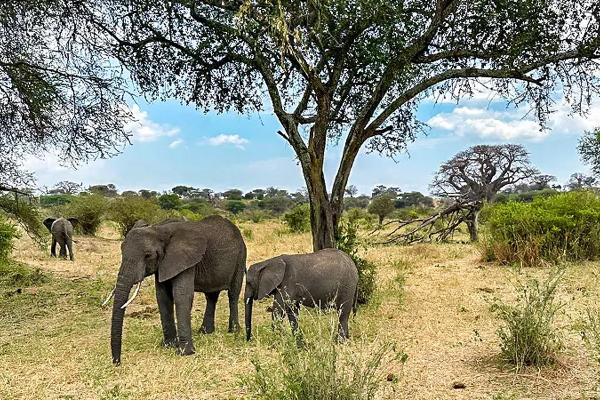 Tanzania during September